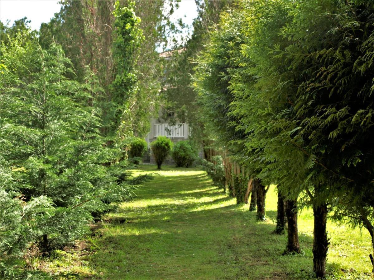 Albergue Pallanes Tui Kültér fotó